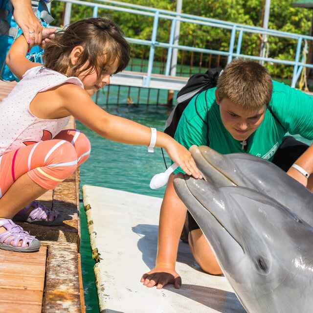 Children playing with Dolphins